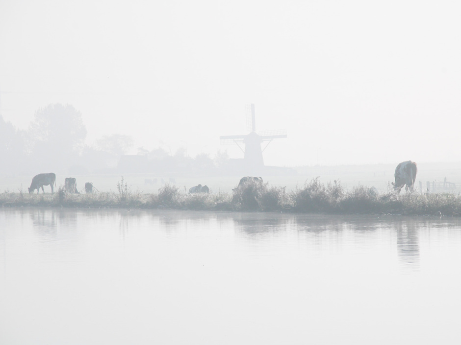 Mist aan de Ringvaart Haarlemmermeer 