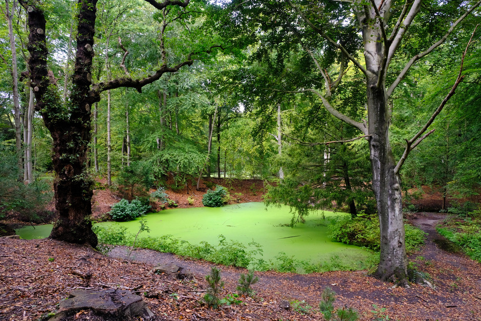 groene oase