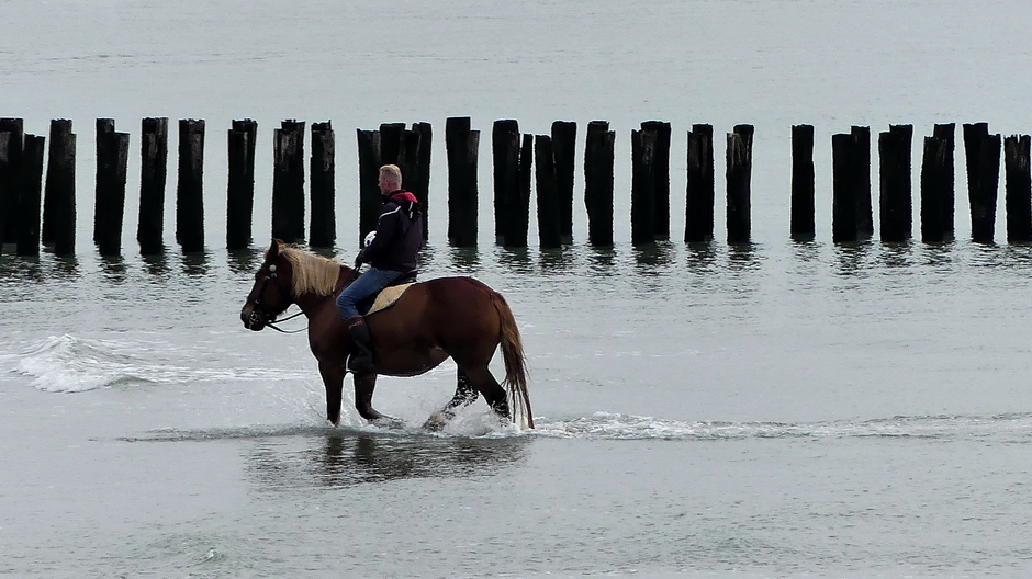 Paardrijden in zee.