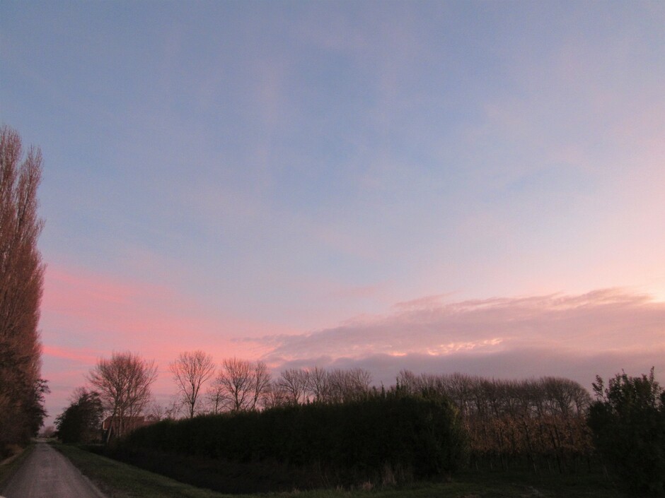 Roze met blauwe lucht na zonsondergang
