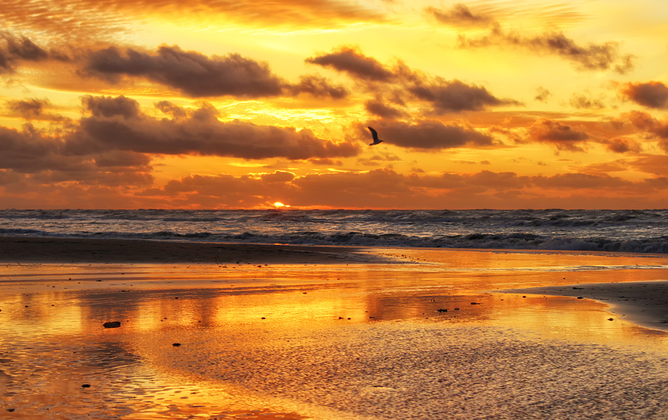 Prachtig gouden zonsondergang Zandvoort 