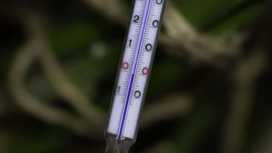 Grondtemperatuur 0,3 graden om 4.40 uur in Buurmalsen 