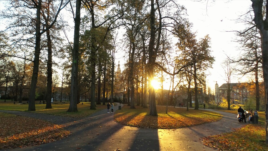 Laagstaande zon in Stadspark, lange schaduwen bij herfstblad en spiegelgladde Singel in Breda.