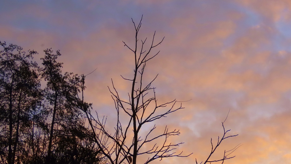 Margreet van Vianen: wolkendek gaat een beetje breken en kleurt door de zonsopkomst