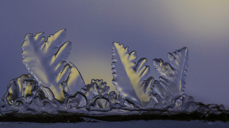 Waterig zonnetje schijnt door de vannacht gevormde ijssculpturen in Buurmalsen