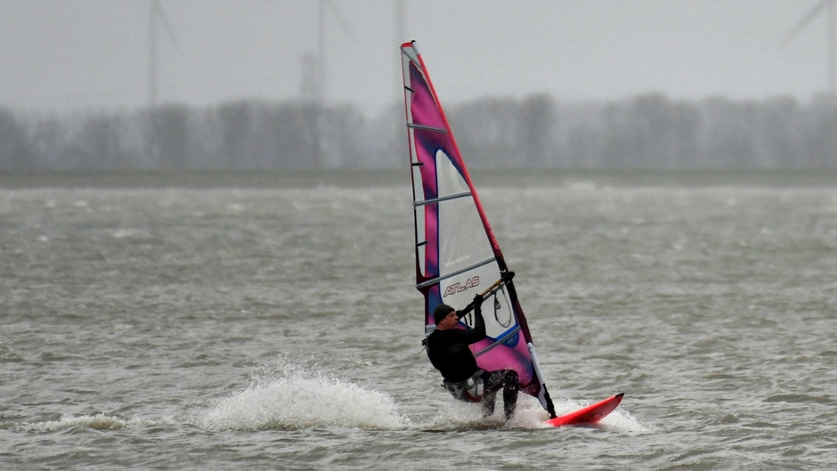 Windsurfer op het Veluwemeer