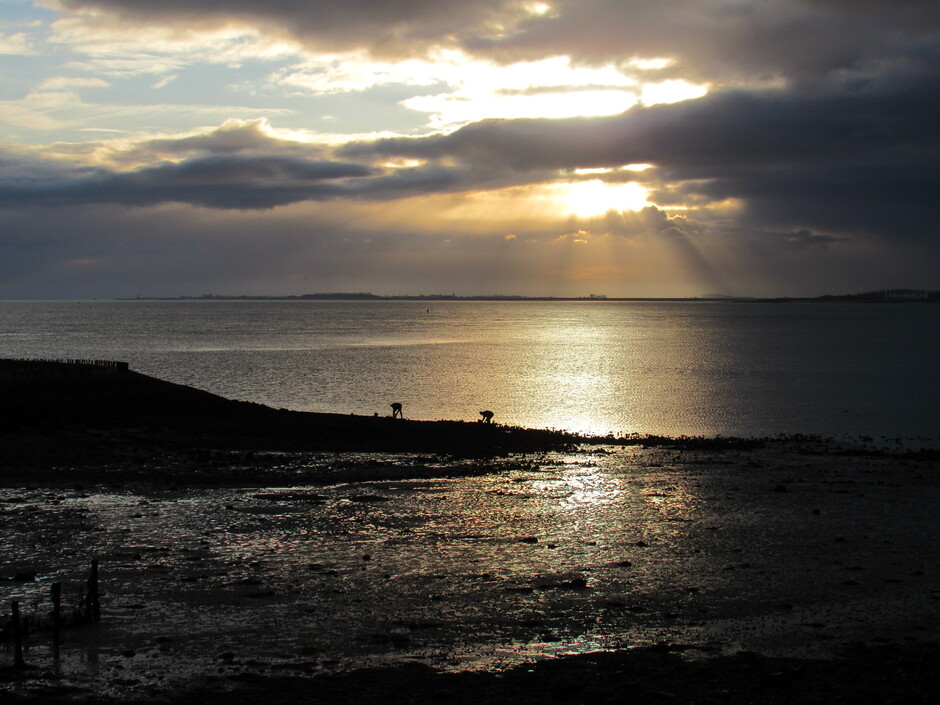 Schitterende kleuren en zonnestralen en wolken rond 9.30 uur aan de Oosterschelde, het was eb dus er werden volop oesters geraapt