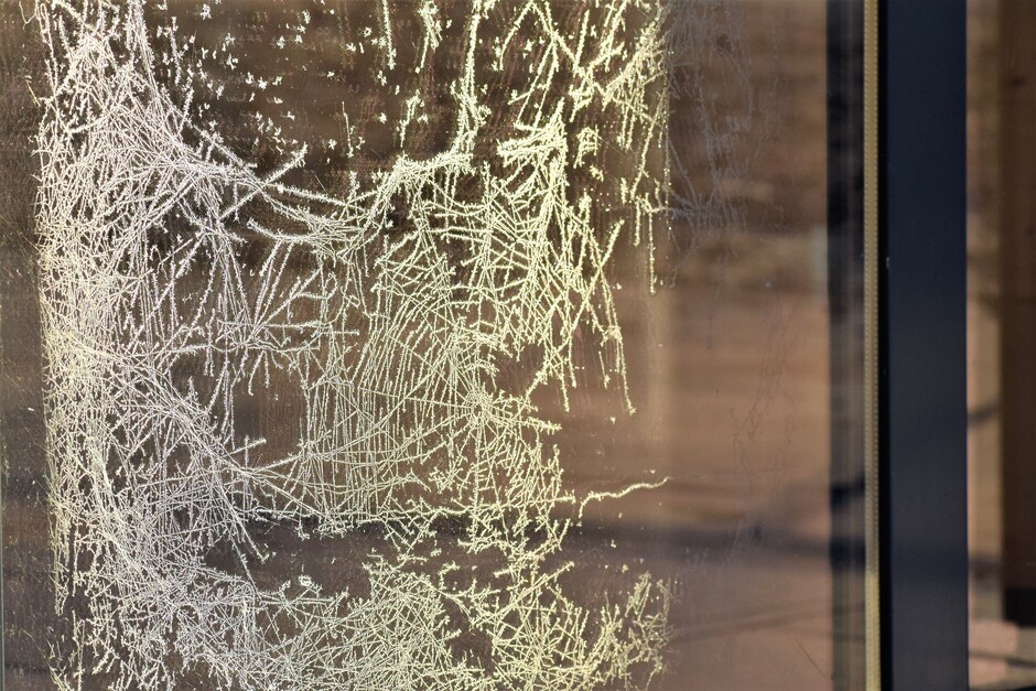 Best wel kunstig. Een bevroren spinneweb op het raam.