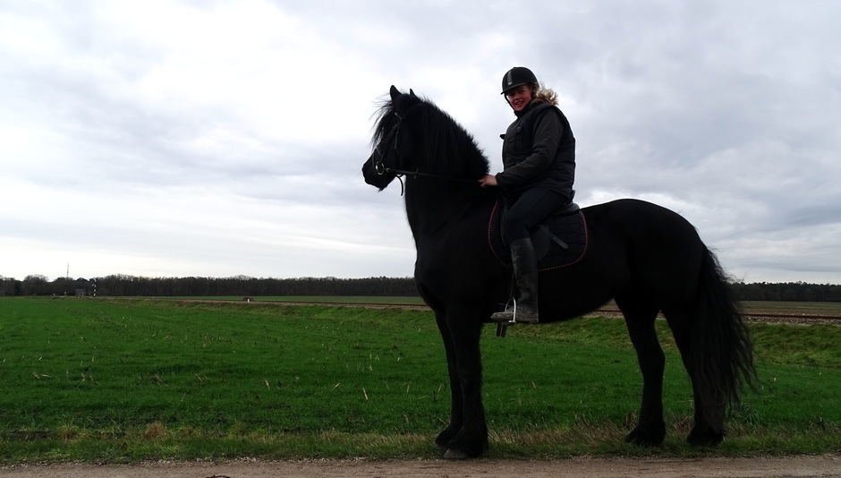 Black Horse.