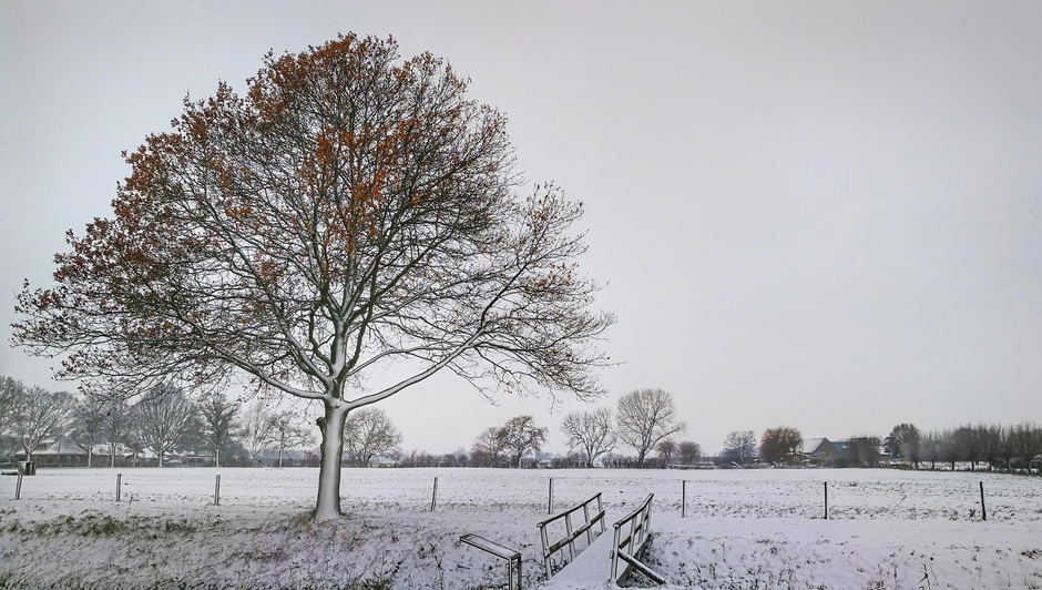 Vandaag 2 jaar geleden viel er een pak sneeuw in Doornenburg