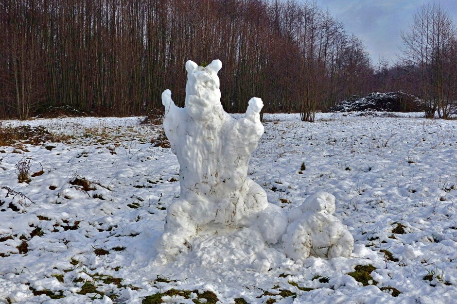 Sneeuwhond in Schinveld
