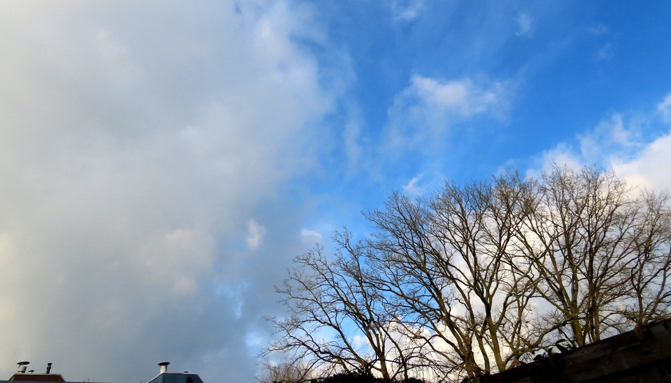 Margreet van Vianen Veel wolken in de eerst zo blauwe lucht. 