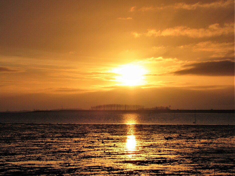 Schitterende zonsopkomst met weerspiegeling op de Oosterscheldebodem