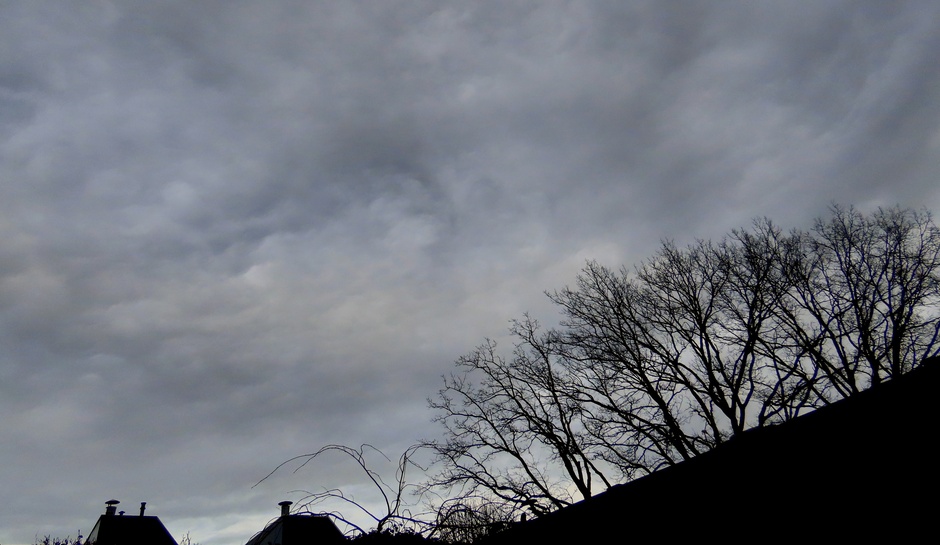 Margreet van Vianen: Onrustige wolken halverwege de ochtend