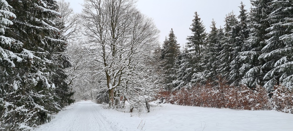 Winterwonderland in de Ardennen