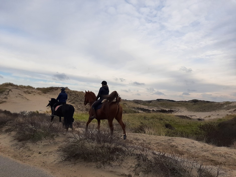 Paardrijden in de duinen 