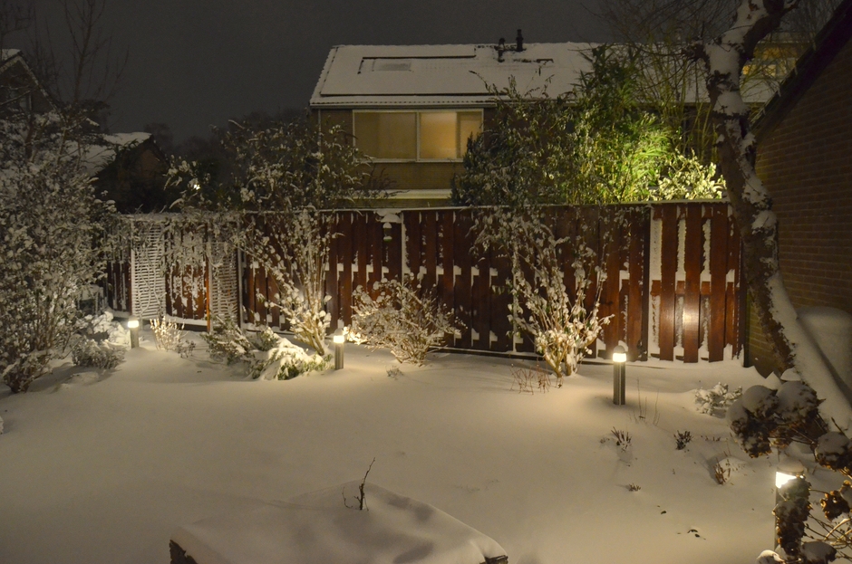 Een mooie besneeuwde tuin op Zondagavond!