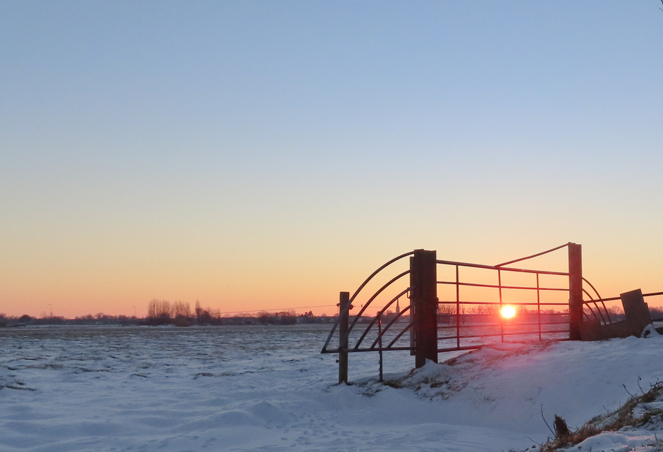 Bollenvelden  ijzige zonsopgang 