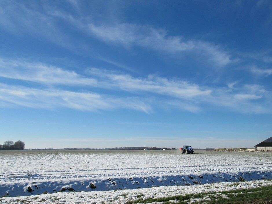 De boer is nog steeds druk op het land, zelfs bij -2 graden en een straffe wind. Een beetje sluierbewolking en strakblauwe luchten 