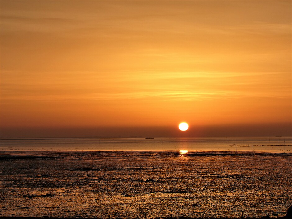 Oranje, fraaie zonsopkomst vanmorgen aan de Oosterschelde in Kats, het was eb dus prachtige weerschijn op de droge zeebodem