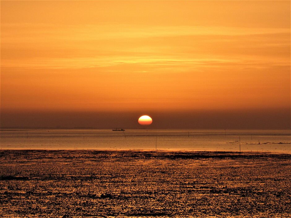 Prachtige oranje zonsopkomst aan de Oosterschelde waar het eb was, prachtig!