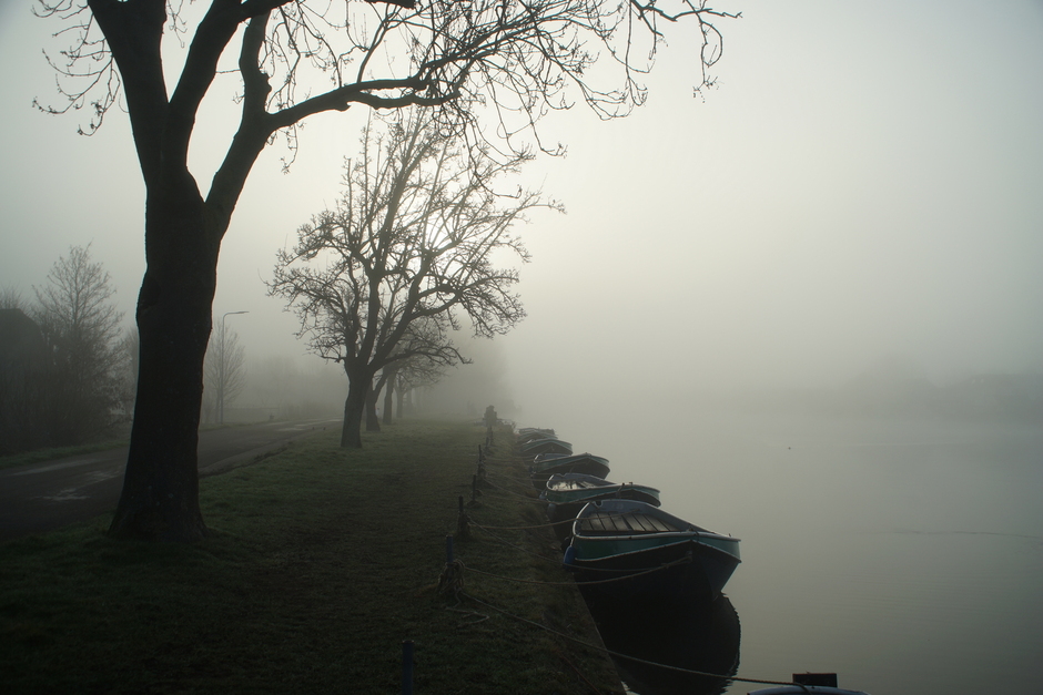 Mist langs de Oude Rijn