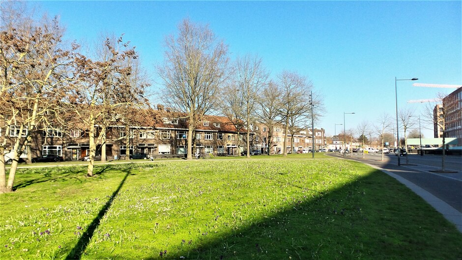 Zon, schaduw, strakblauw/watertoren, hyacinten en krokussen bij 9 graden in Breda.