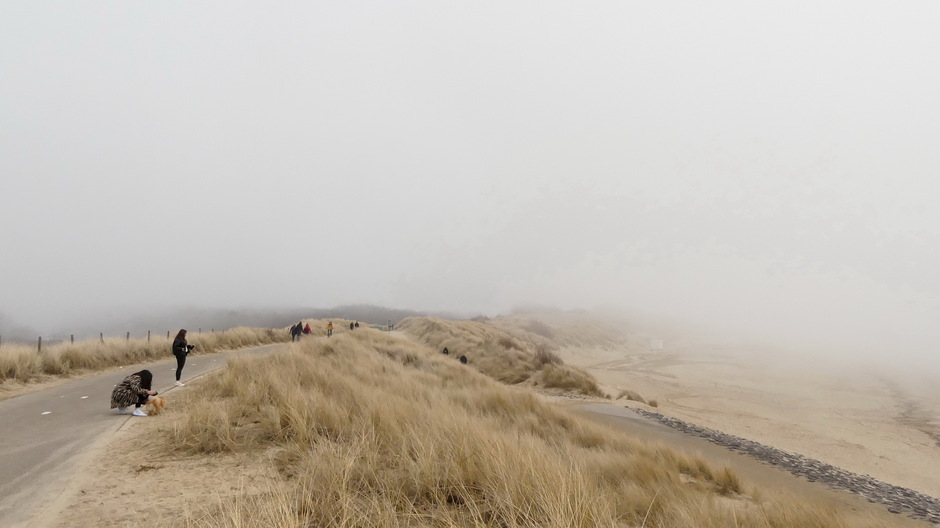 Snel opkomende mist aan de kust