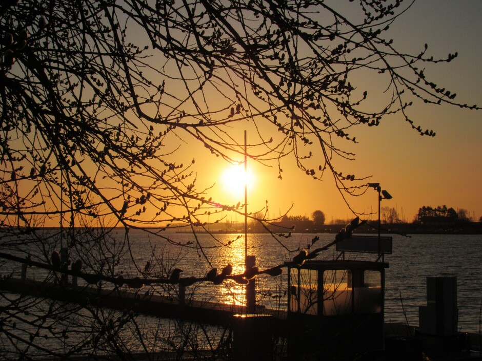 Mooie zonsopkomst aan het Veerse Meer in Kortgene bij de jachthaven, 2 graden, Brrrr
