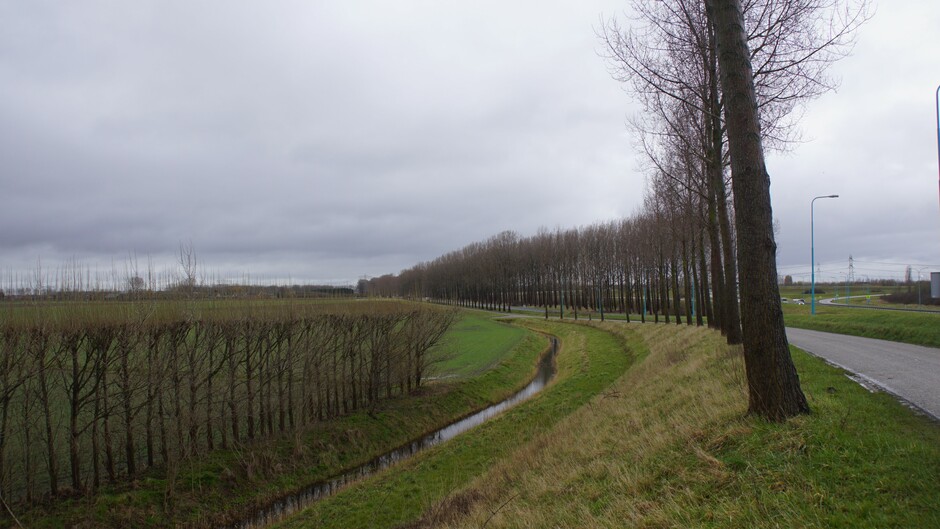 grijs en bewolkt plassen water 6 gr in de polder 