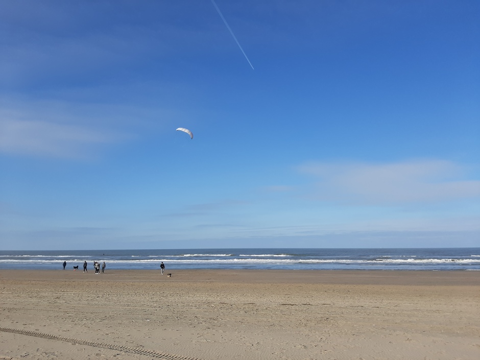 Vliegeren op het strand