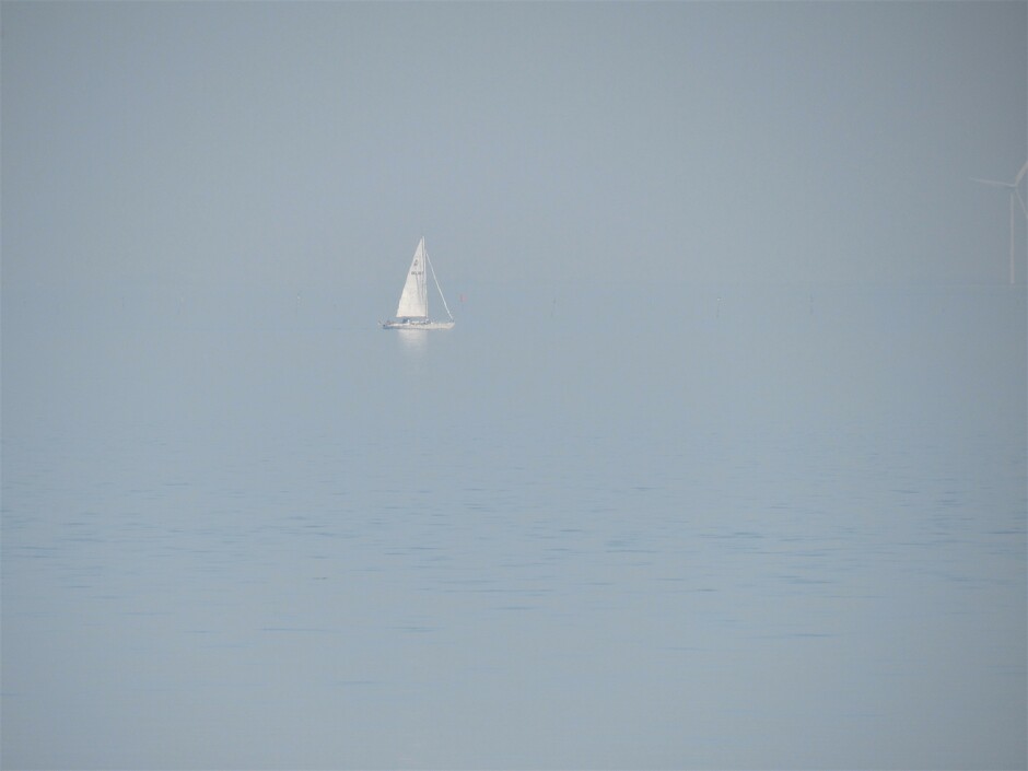 Vanmiddag zo diesig bij de Zeelandbrug dat je geen verschil zag tussen water en lucht, dezelfde kleur, het verschil maakte het zeilbootje, echt zo'n mooi gezicht was het