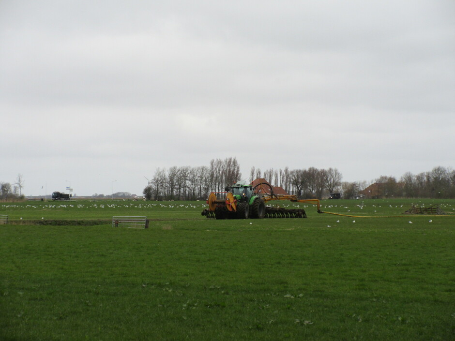 Tractor in het Friese veld met vogels