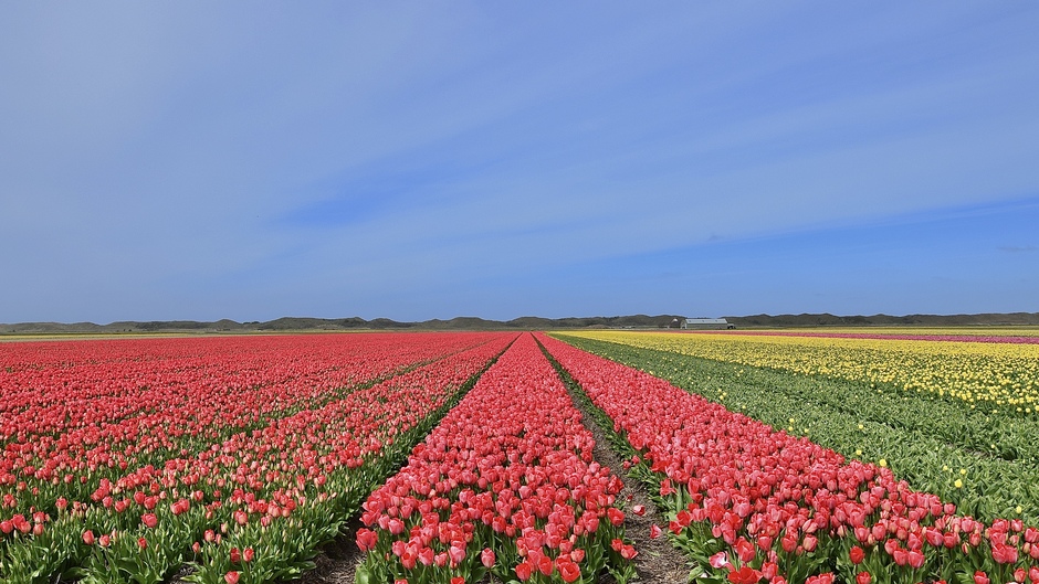 Prachtige kleuren op Texel