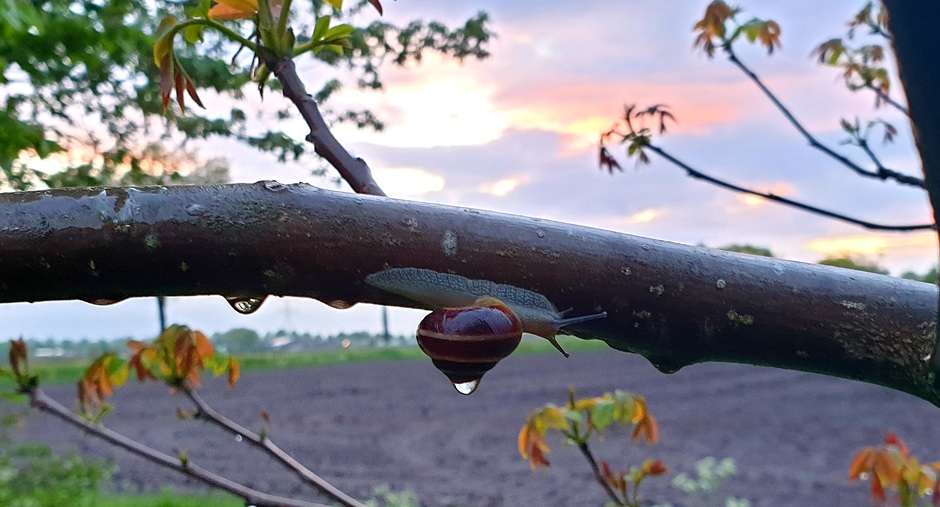 regenachtige zonsondergang 