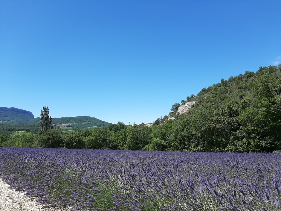 Mooie blauwe lucht in Frankrijk 