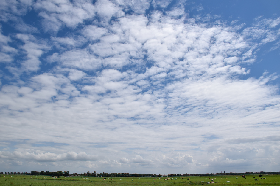 Stapel, sluier en schapenwolken in één, zon en pittige wind vanmiddag!