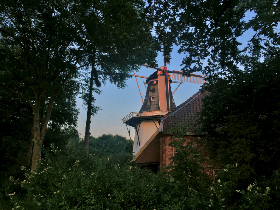 de molen nabij Noorderhoogebrug