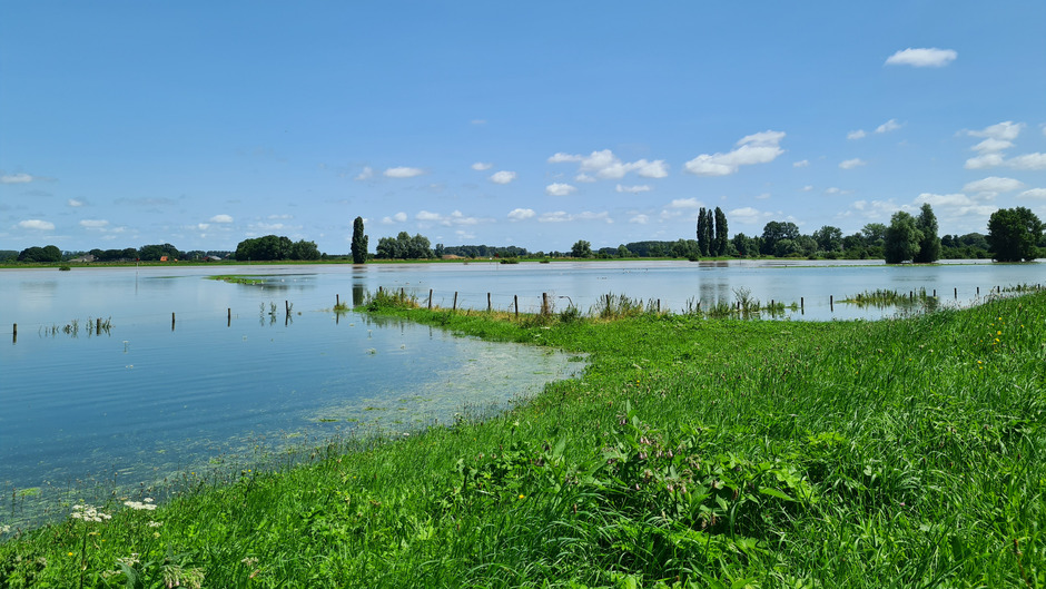 Hoogwater in de uiterwaarden van de IJssel 