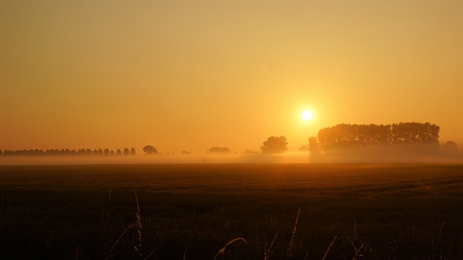 zonsopkomst en  laaghangende mistig 16 gr in de polder