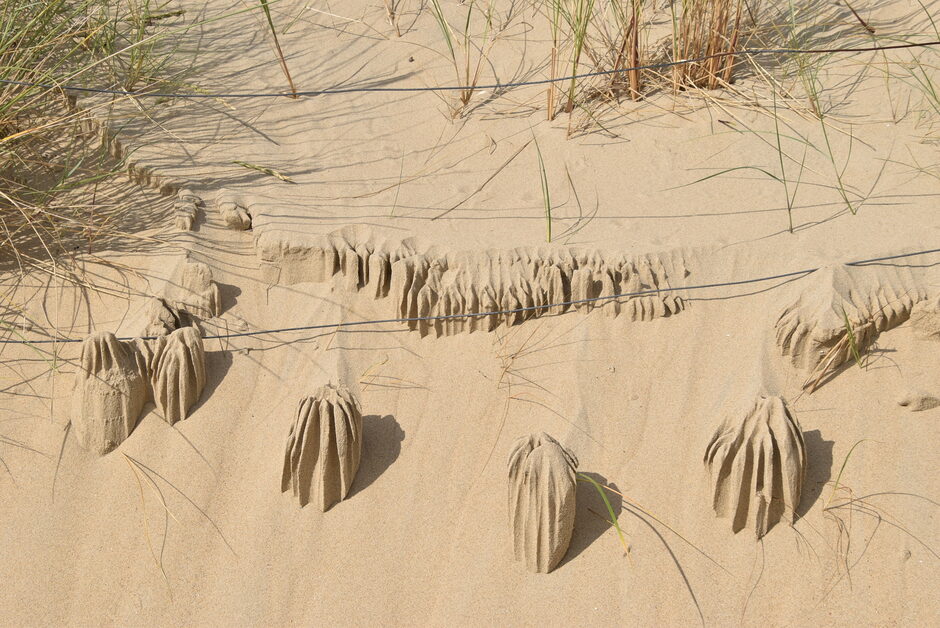 Structuren in het zand
