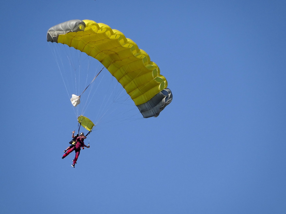 Parachutespringers