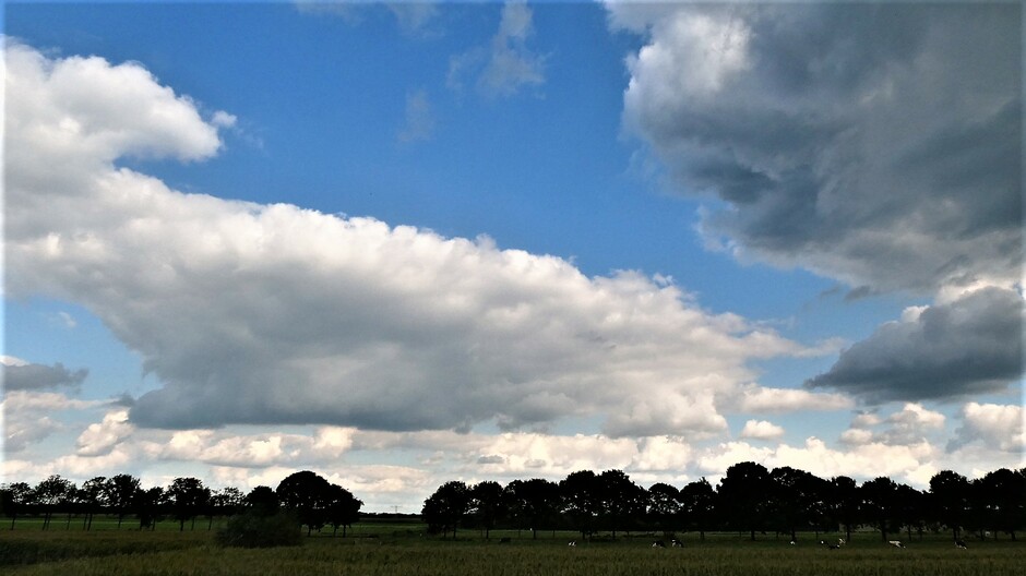 mooie maar ook dreigende wolkenluchten boven de polder vanmiddag