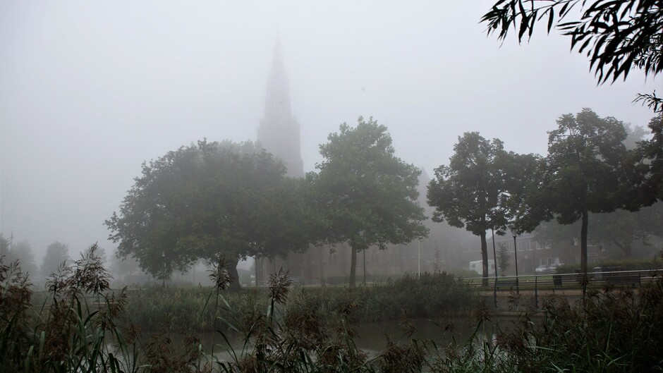 dichte mist rond 09.00 uur 15 gr op foto maar -100 meter zicht