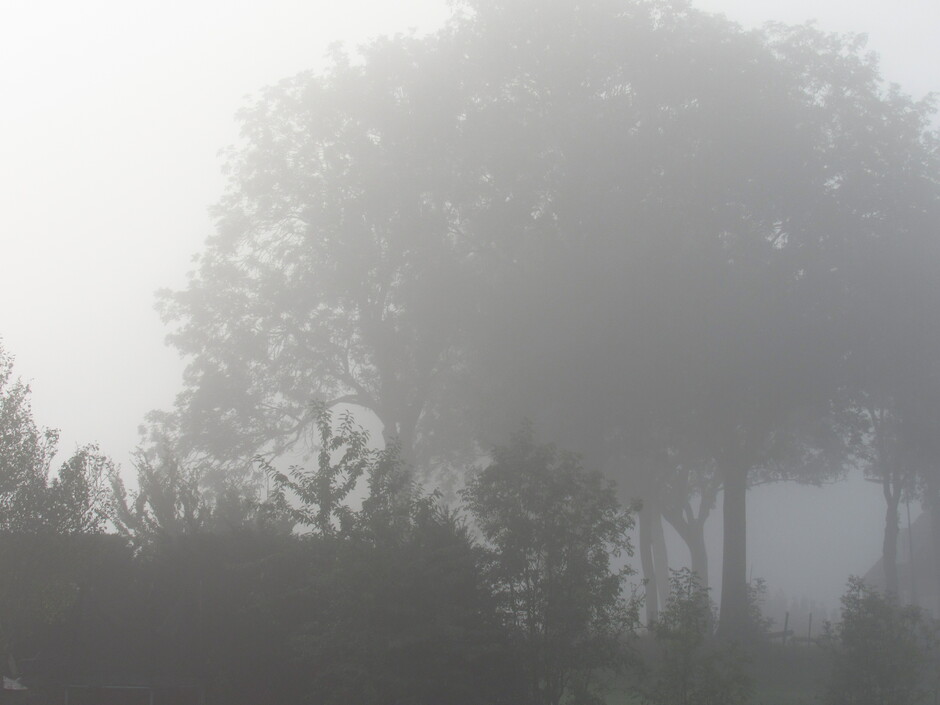 Mist in Mijnsheerenland