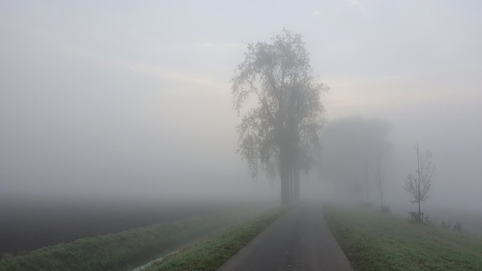 Mist in de polder 