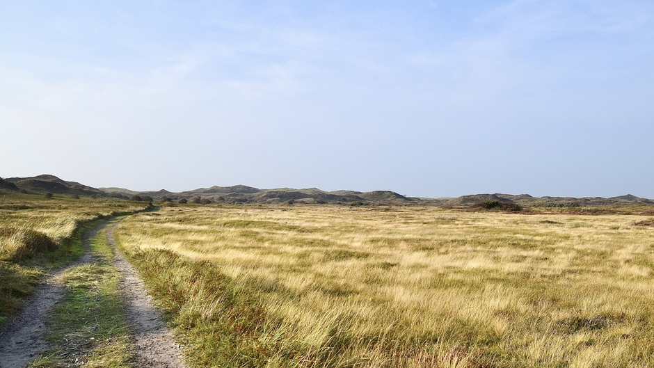 Even niets zeggen en genieten…Nationaal Park Duinen van Texel.