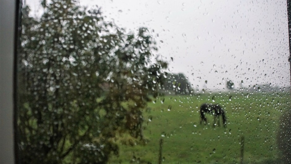 18.44 uur grijs en regenachtig weer paard inde wei 12 gr