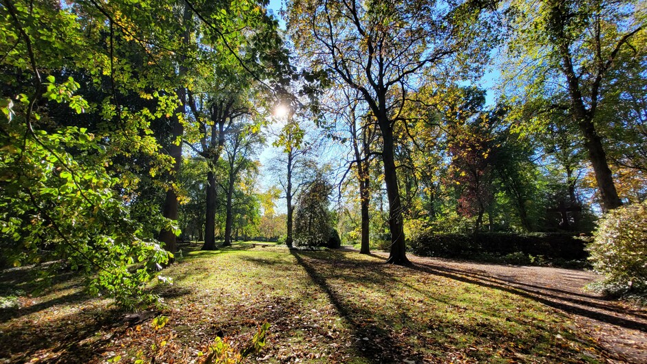 Arboretum Oudenbosch - herfst
