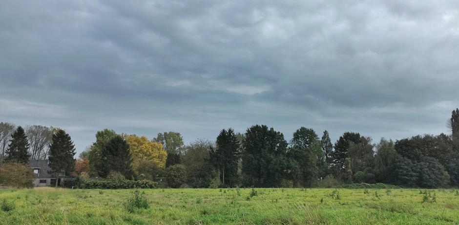 Blauwe luchten, herfst en nog veel groen in Doornenburg